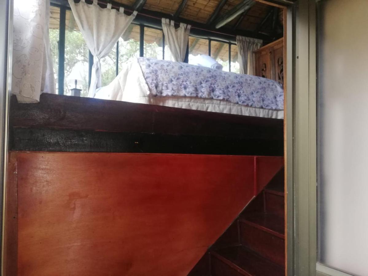 Chía Hotel Y Centro De Convenciones Pueblito De Yerbabuena Paraiso Natural מראה חיצוני תמונה